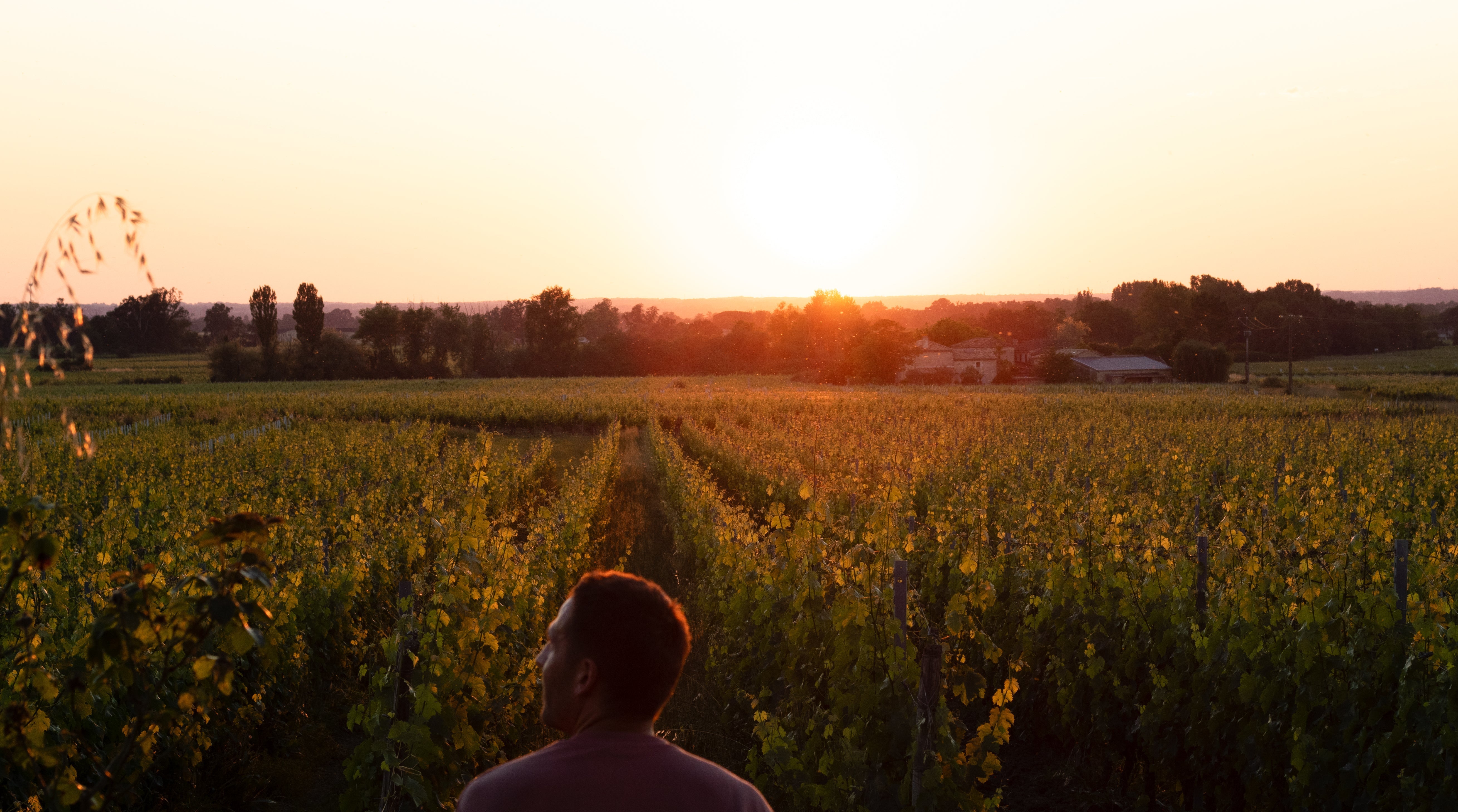 Financement participatif pour l’avenir du domaine