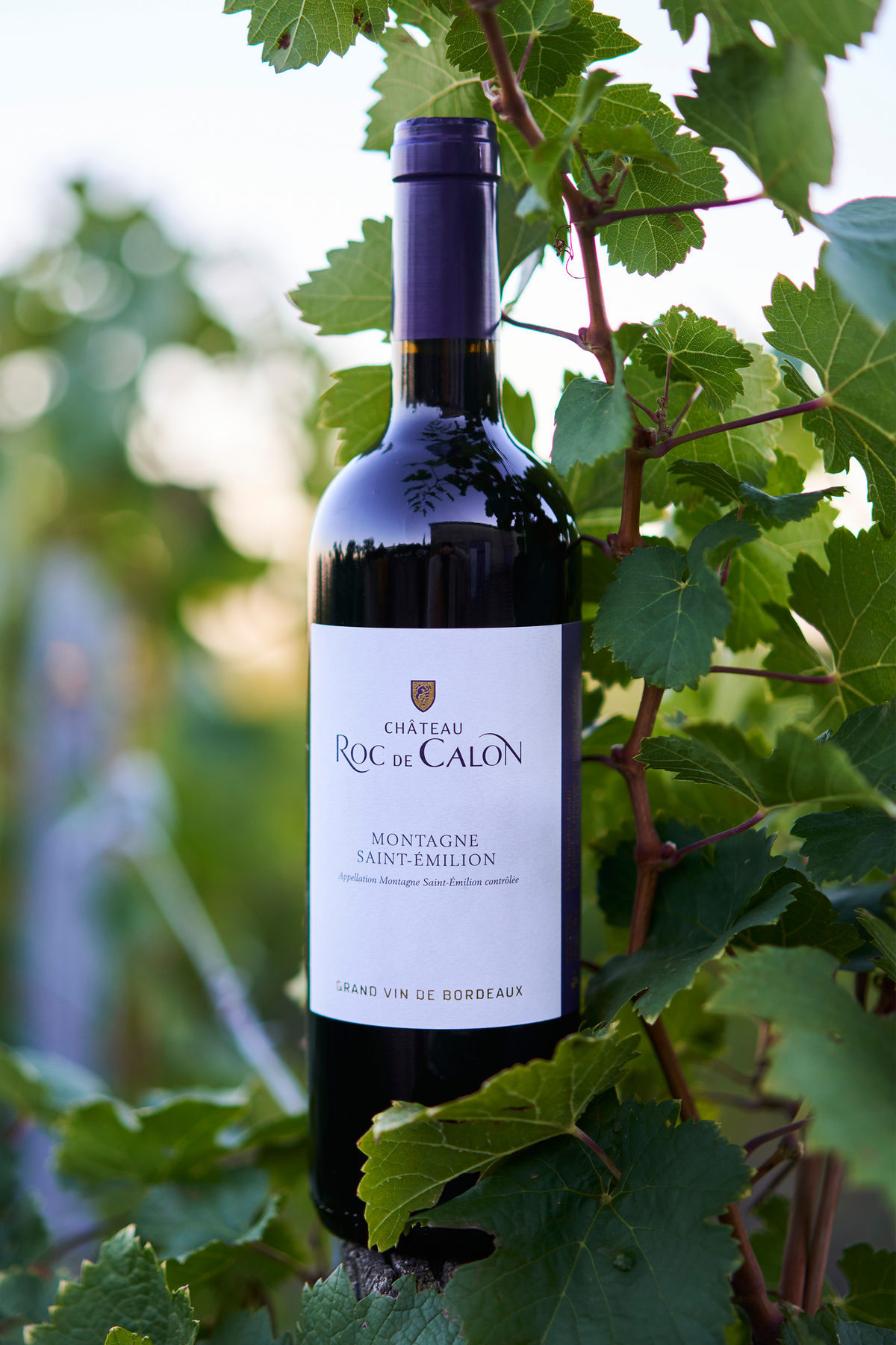 Château Roc de Calon