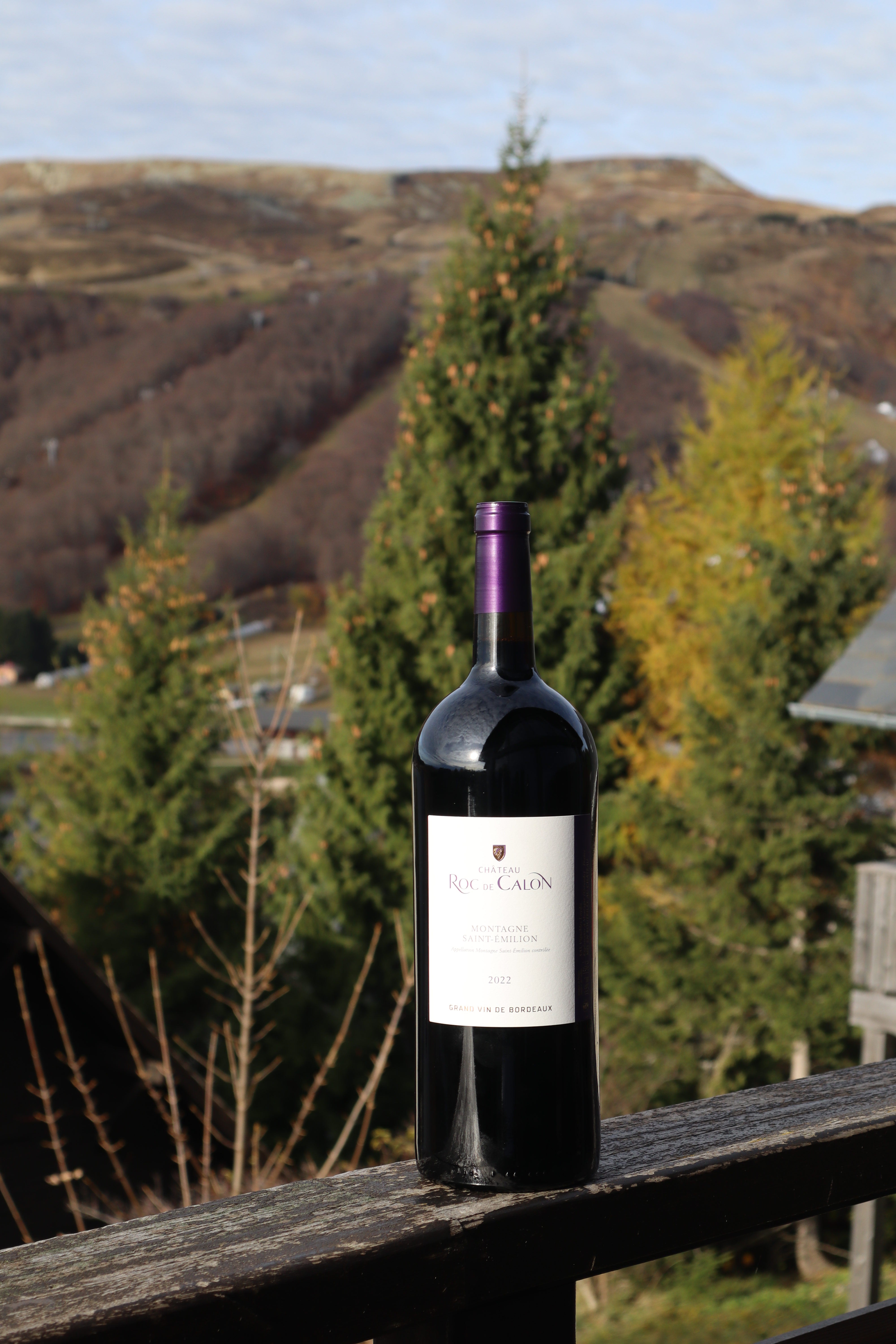 Château Roc de Calon