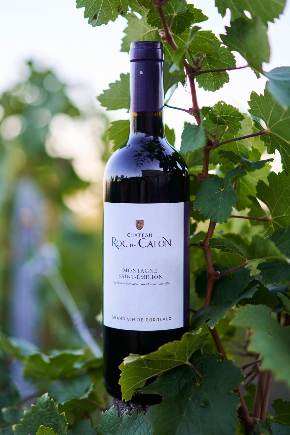 Château Roc de Calon
